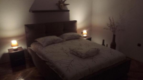 Garden Street Apartment
